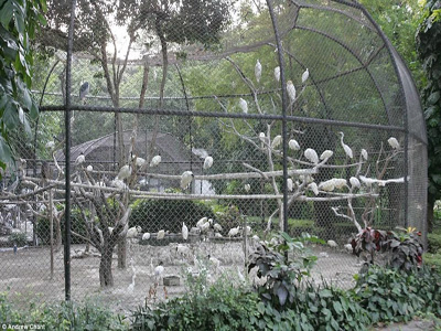 鸟语林网