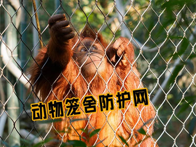 罗定动物园装饰绳网 乐善高空防坠物不锈钢绳网 井盖钢丝绳卡扣网